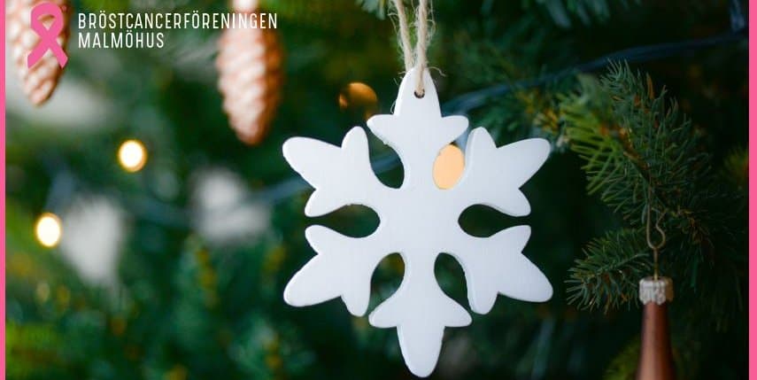 Julmingel 2023-12-11
